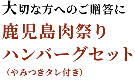 鹿児島肉祭りハンバーグセット（やみつきタレ付き）